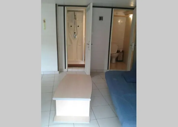 Cure Thermale Ou D'ete Au Dore Apartment Le Mont-Dore