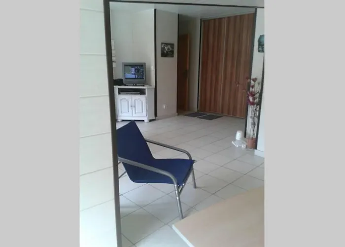 Cure Thermale Ou D'ete Au Dore Apartment Le Mont-Dore